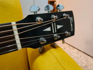 Framus Jumbo FJ-14MV Guitarra Acústica