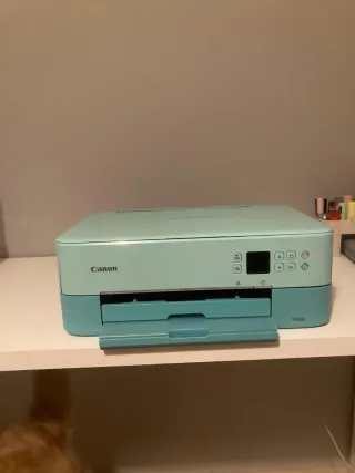 Impresora Canon Pixma TS5300