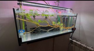 Acuario Sera AquaTank 96 L