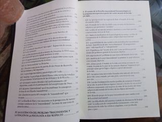 La Crisis de Las Ciencias Europeas. Fenomenología.