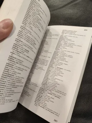 Diccionari petit castellà-català català-castellà