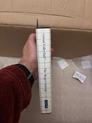 Great Volleyball Sega Master System