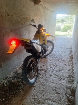 Suzuki RMX 50