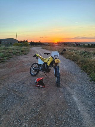Suzuki RMX 50
