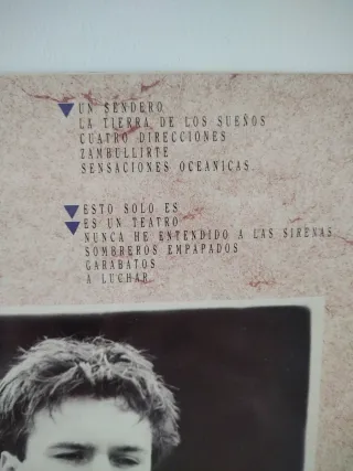 Vinilo La Dama Se Esconde - La Tierra...