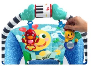 Hamaca Baby Einstein