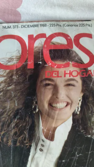 Revista Labores del Hogar N° 373 Diciembre 1988