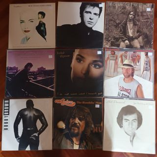 Lote Vinilos Rock/Pop 2
