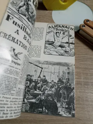 Bajo La Bandera Negra