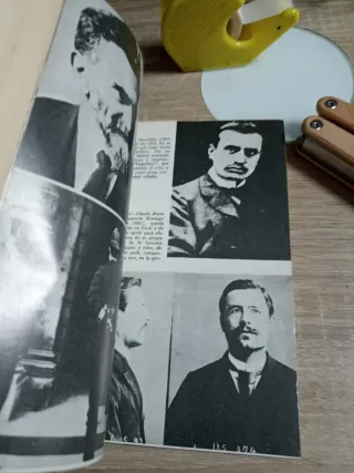 Bajo La Bandera Negra