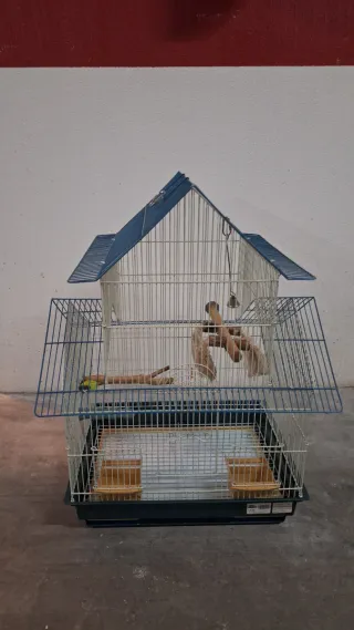 Jaula grande para pájaros o agapornis