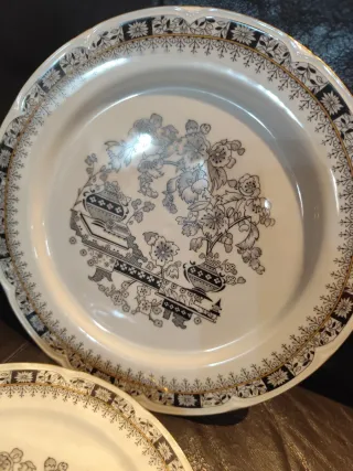 2 Platos Porcelana Santa Clara Diseño Floral