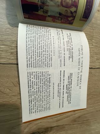 Documentos Año Santo Mariano Mexico