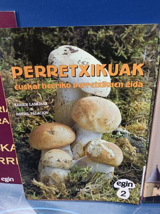 3 libros, Breve historia ilustrada Euskal Herria, piedra y memoria, Perretxikuak