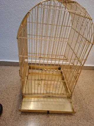 Jaula para loro dorada