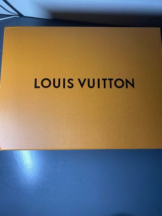 Louis Vuitton LV Skate Grigia
