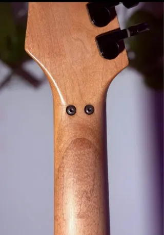 Guitarra Eléctrica Ibanez RG350DX/RGR320EX