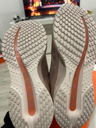 Nike Pegasus Premium Beige/Rosa