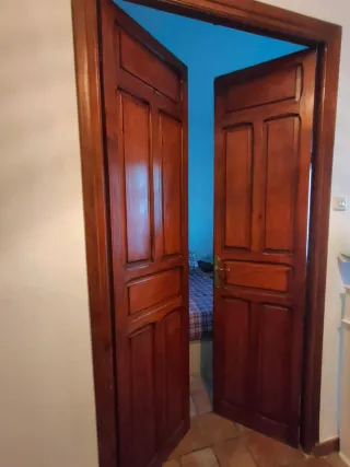 Puerta doble de madera