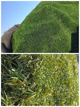 Venta césped artificial