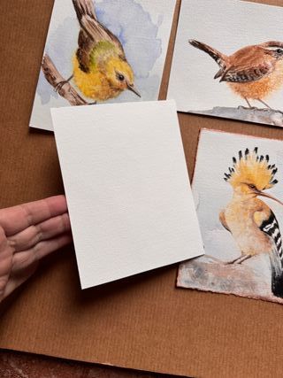 4 Acuarelas Pájaros