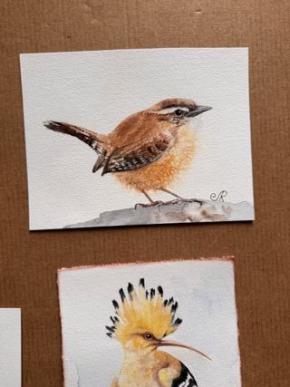 4 Acuarelas Pájaros