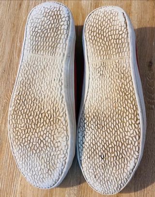 Zapatillas de Springfield