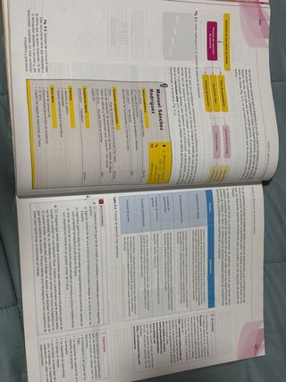 Economía de la empresa 2.º Bachillerato