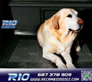 BANDEJA MALETERO PARA FIAT