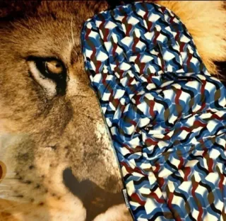 Saco silla bugaboo edición limitada Olas/ waves