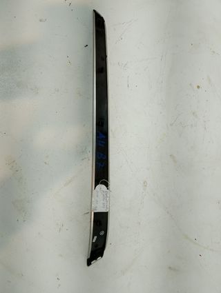 Embellecedor puerta Audi A4 B7