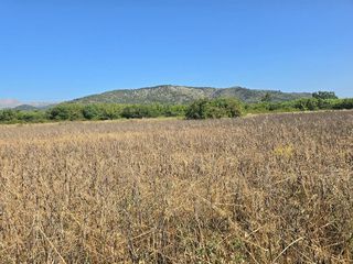 Terreno en venta en Pobla (Sa)