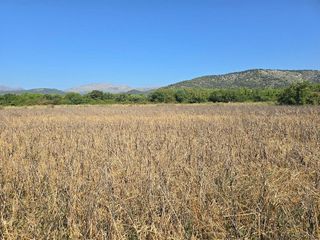 Terreno en venta en Pobla (Sa)