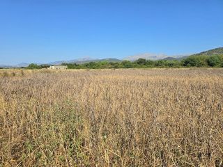 Terreno en venta en Pobla (Sa)
