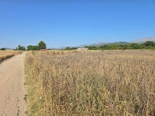 Terreno en venta en Pobla (Sa)