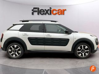 Citroën C4 Cactus BlueHDi 73KW (100CV) Business