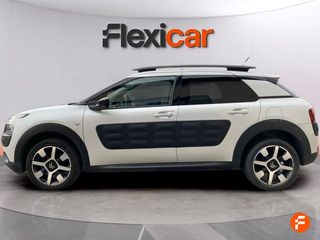 Citroën C4 Cactus BlueHDi 73KW (100CV) Business