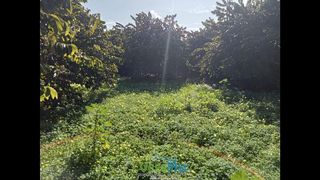 Terreno en venta en Almuñecar en Almuñécar