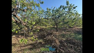 Terreno en venta en Almuñecar en Almuñécar