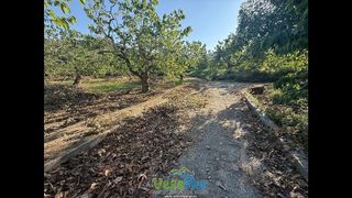 Terreno en venta en Almuñecar en Almuñécar