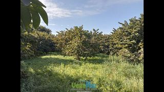 Terreno en venta en Almuñecar en Almuñécar