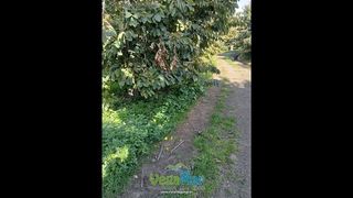 Terreno en venta en Almuñecar en Almuñécar