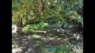 Terreno en venta en Almuñecar en Almuñécar