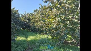 Terreno en venta en Almuñecar en Almuñécar