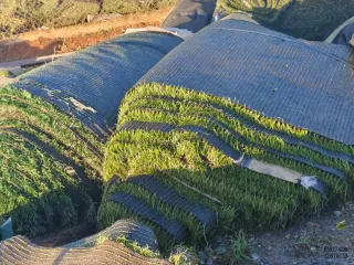 Césped artificial reciclado