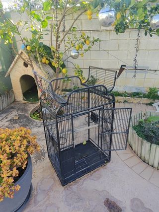 Jaula grande de hierro