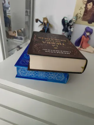 Pack libros Hermanas Greemwood