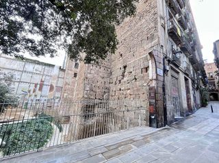 Piso en alquiler en El Gòtic en Barcelona