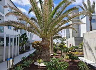 Piso en venta en Corralejo en Oliva (La)