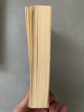 El día que se perdió la cordura/amor